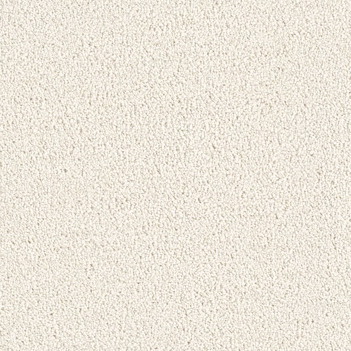 DreamWeaver® East Hampton Textured Cut Pile Carpet