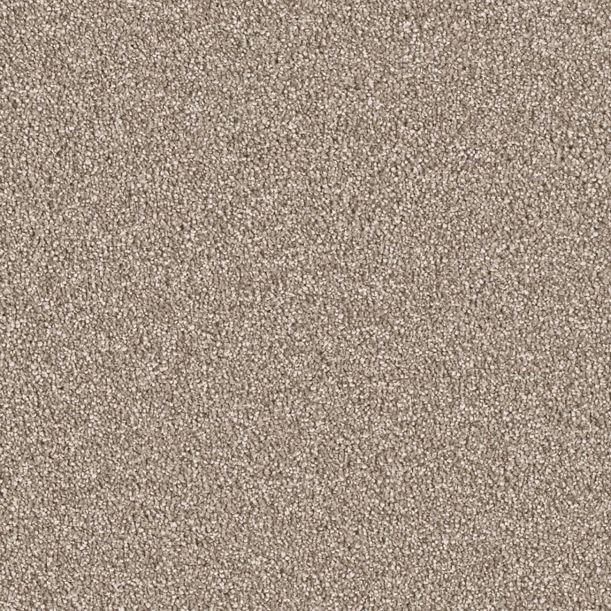 DreamWeaver® East Hampton Textured Cut Pile Carpet