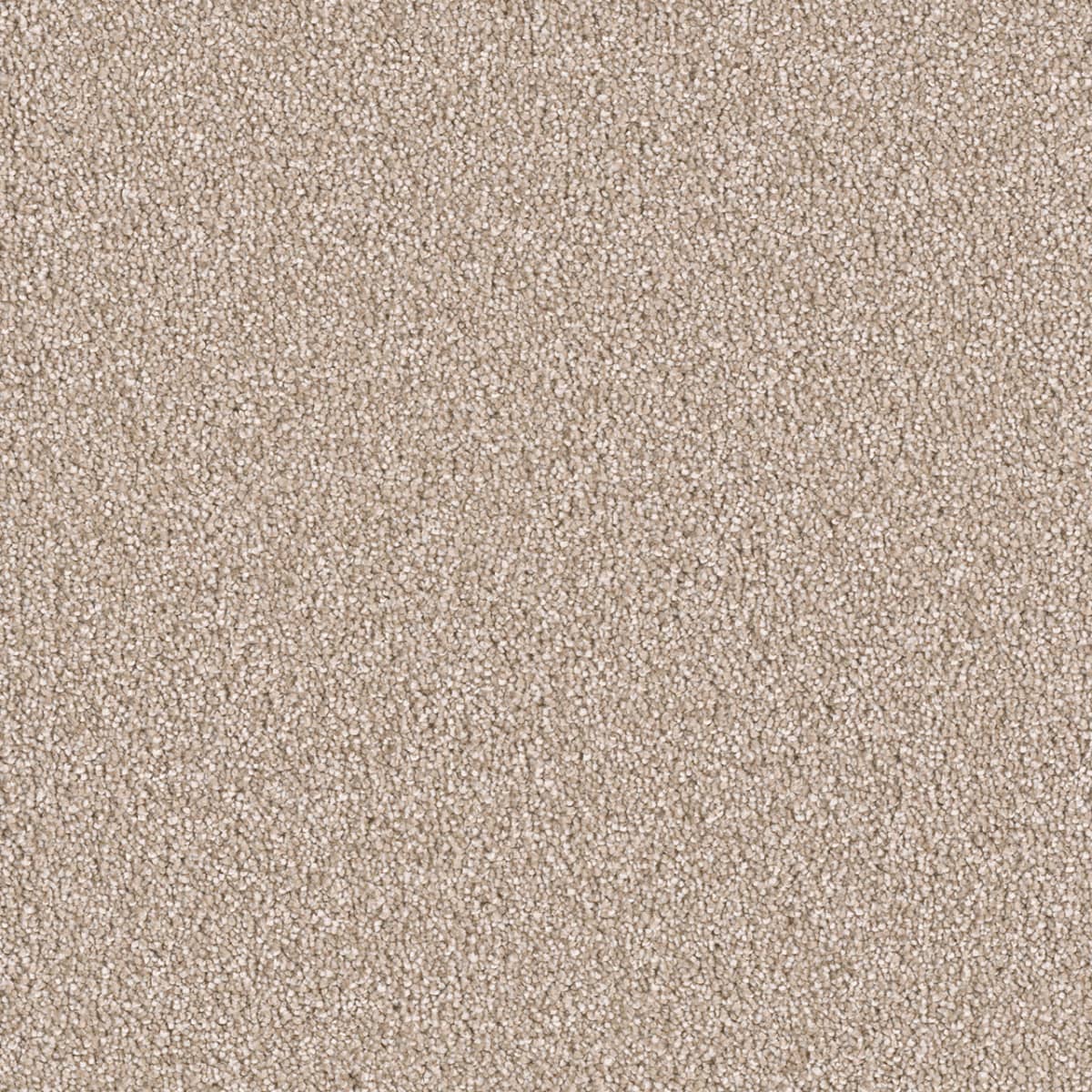 DreamWeaver® East Hampton Textured Cut Pile Carpet