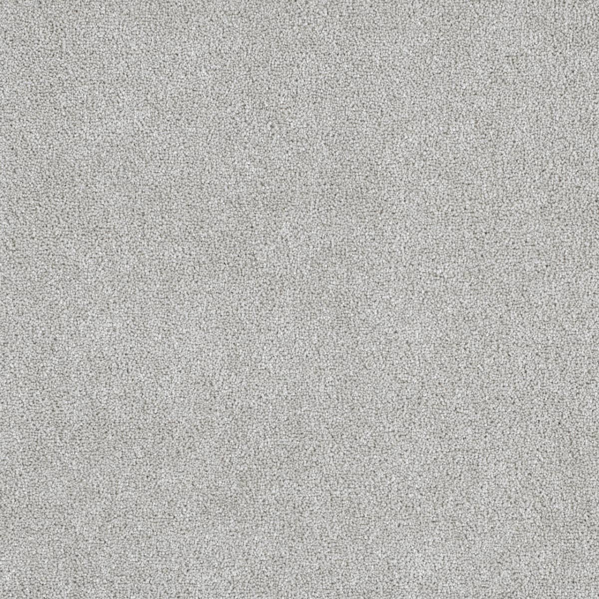 DreamWeaver® East Hampton Textured Cut Pile Carpet