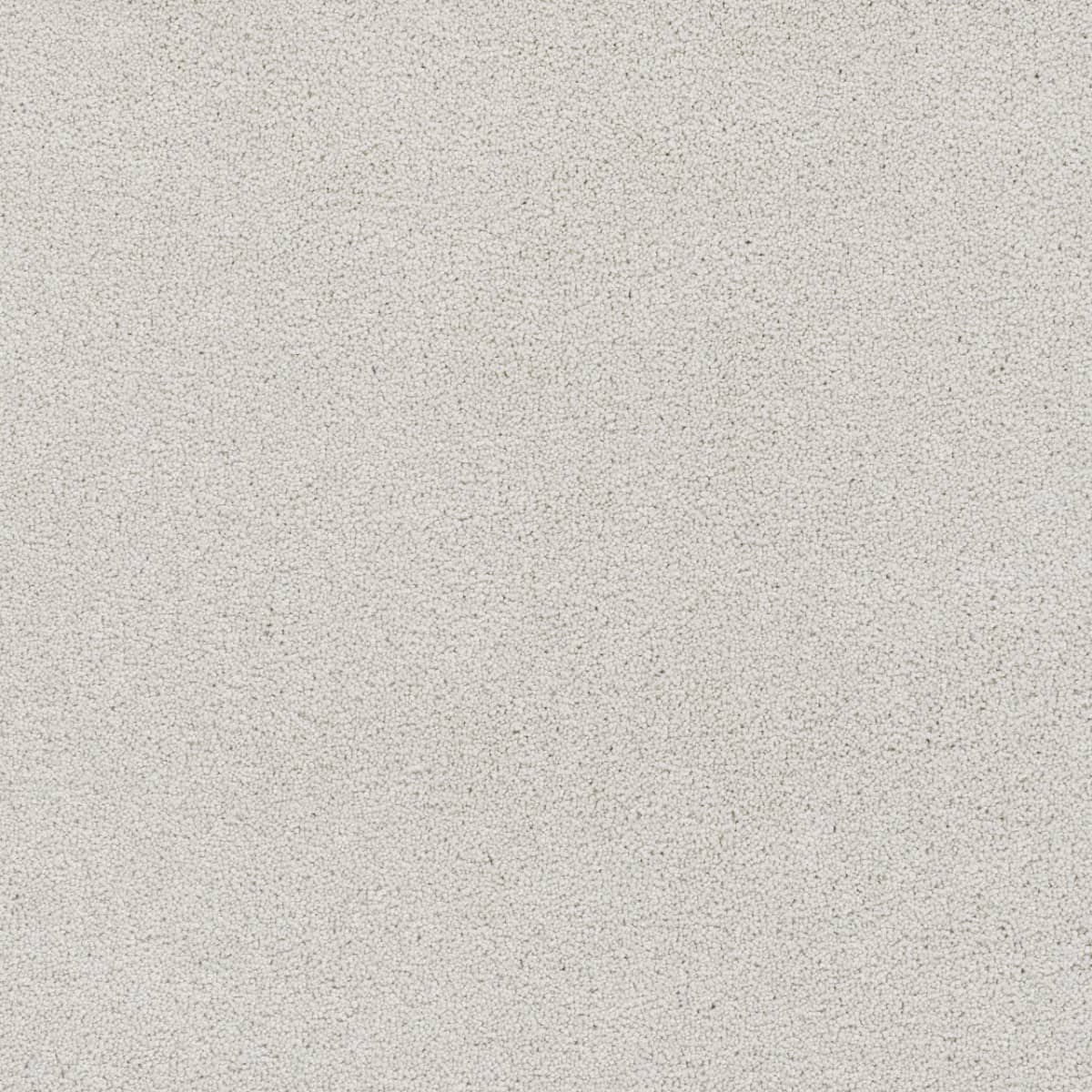 DreamWeaver® East Hampton Textured Cut Pile Carpet
