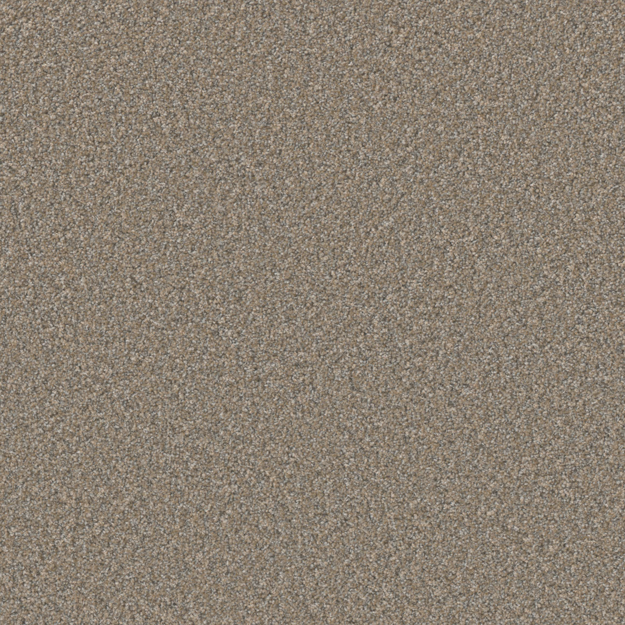 DreamWeaver® Excalibur IV Cut Pile Carpet