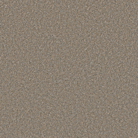 DreamWeaver® Excalibur IV Cut Pile Carpet