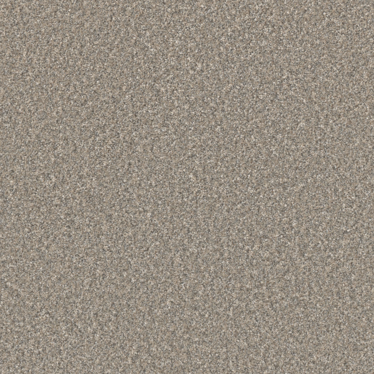 DreamWeaver® Excalibur IV Cut Pile Carpet