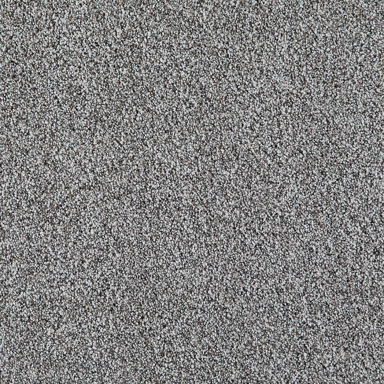 DreamWeaver® Excalibur IV Cut Pile Carpet