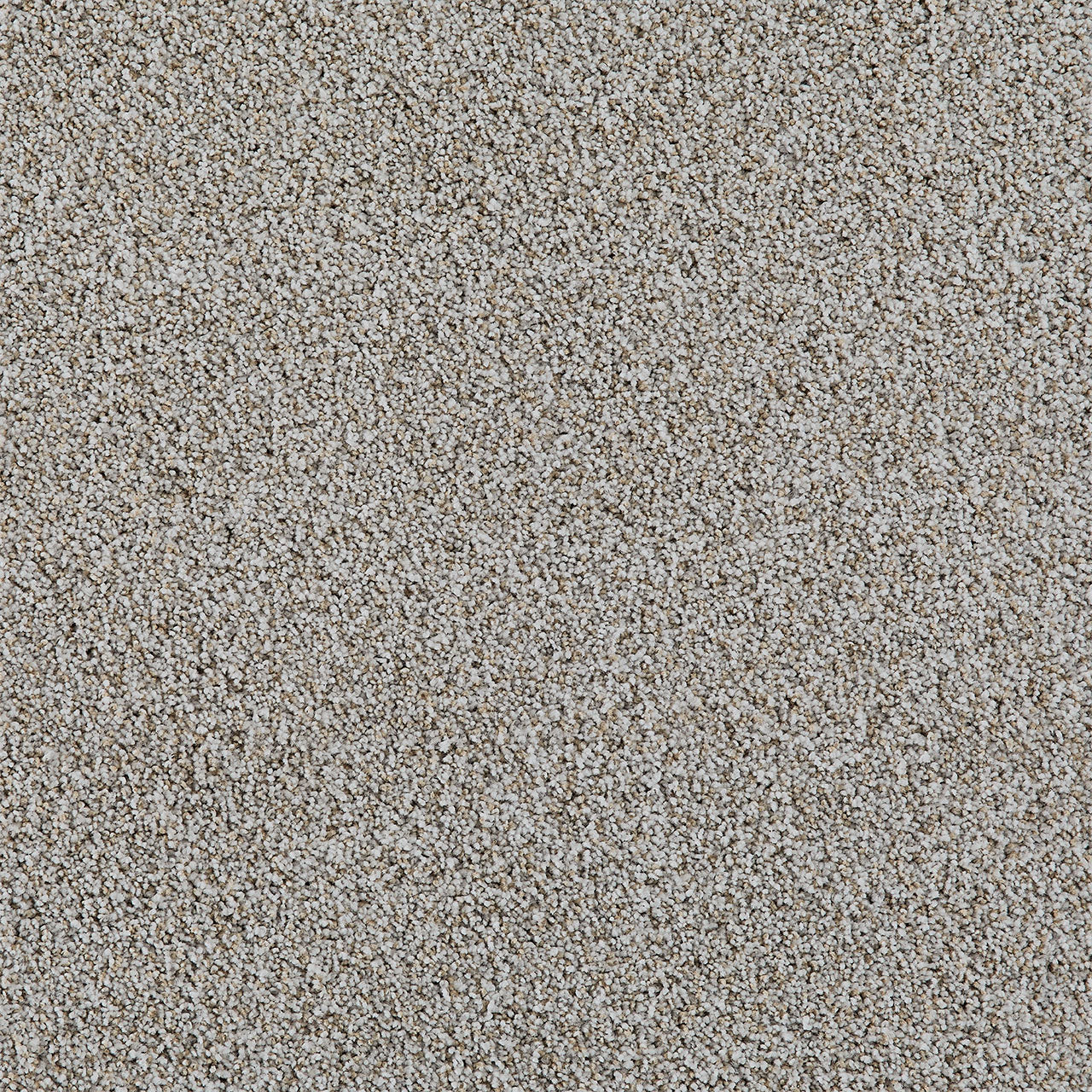 DreamWeaver® Excalibur IV Cut Pile Carpet