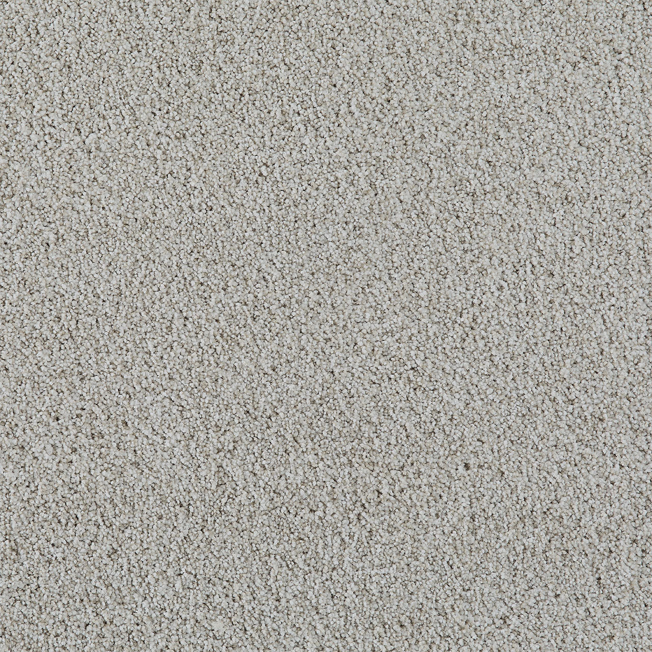 DreamWeaver® Excalibur IV Cut Pile Carpet