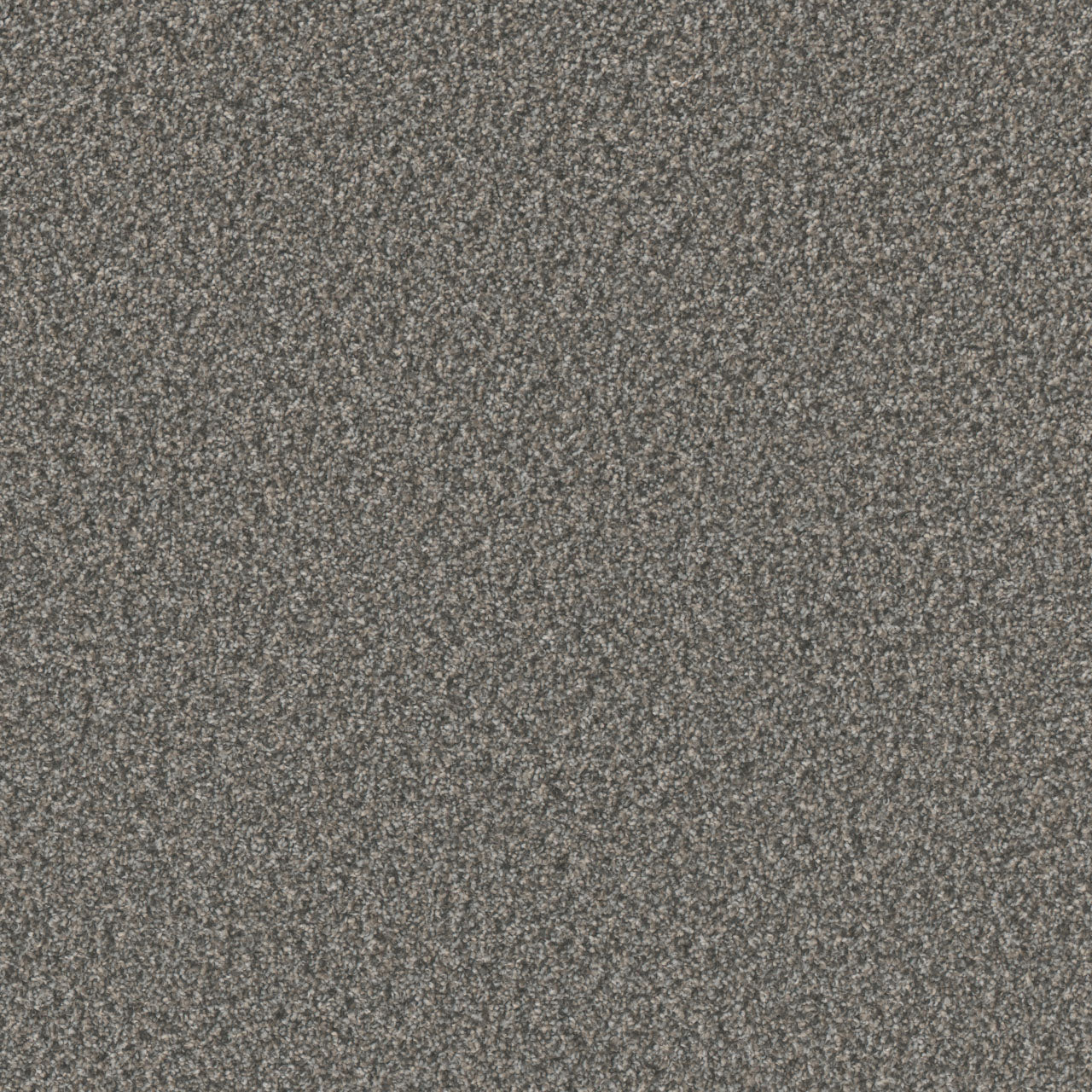 DreamWeaver® Excalibur IV Cut Pile Carpet