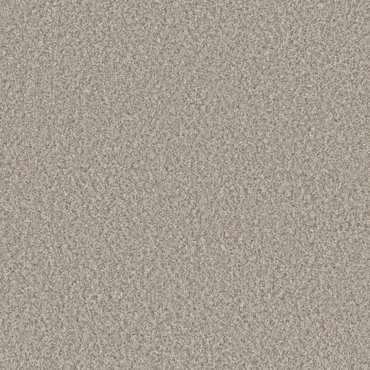 DreamWeaver® Excalibur IV Cut Pile Carpet