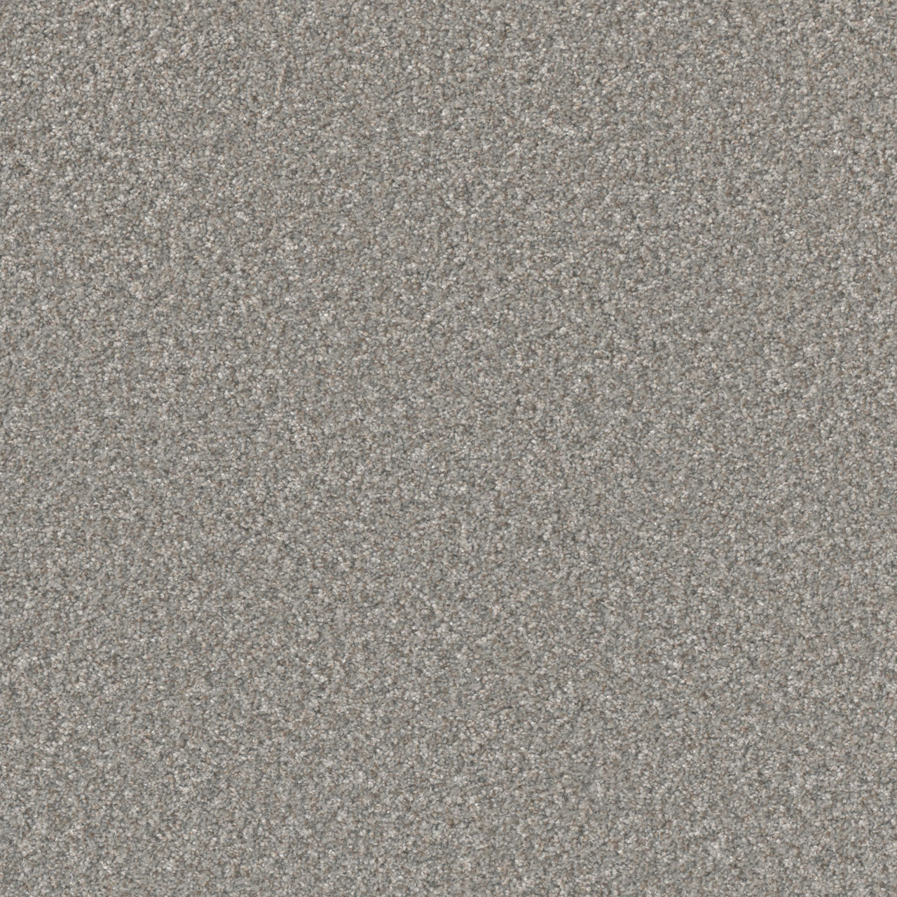 DreamWeaver® Excalibur IV Cut Pile Carpet