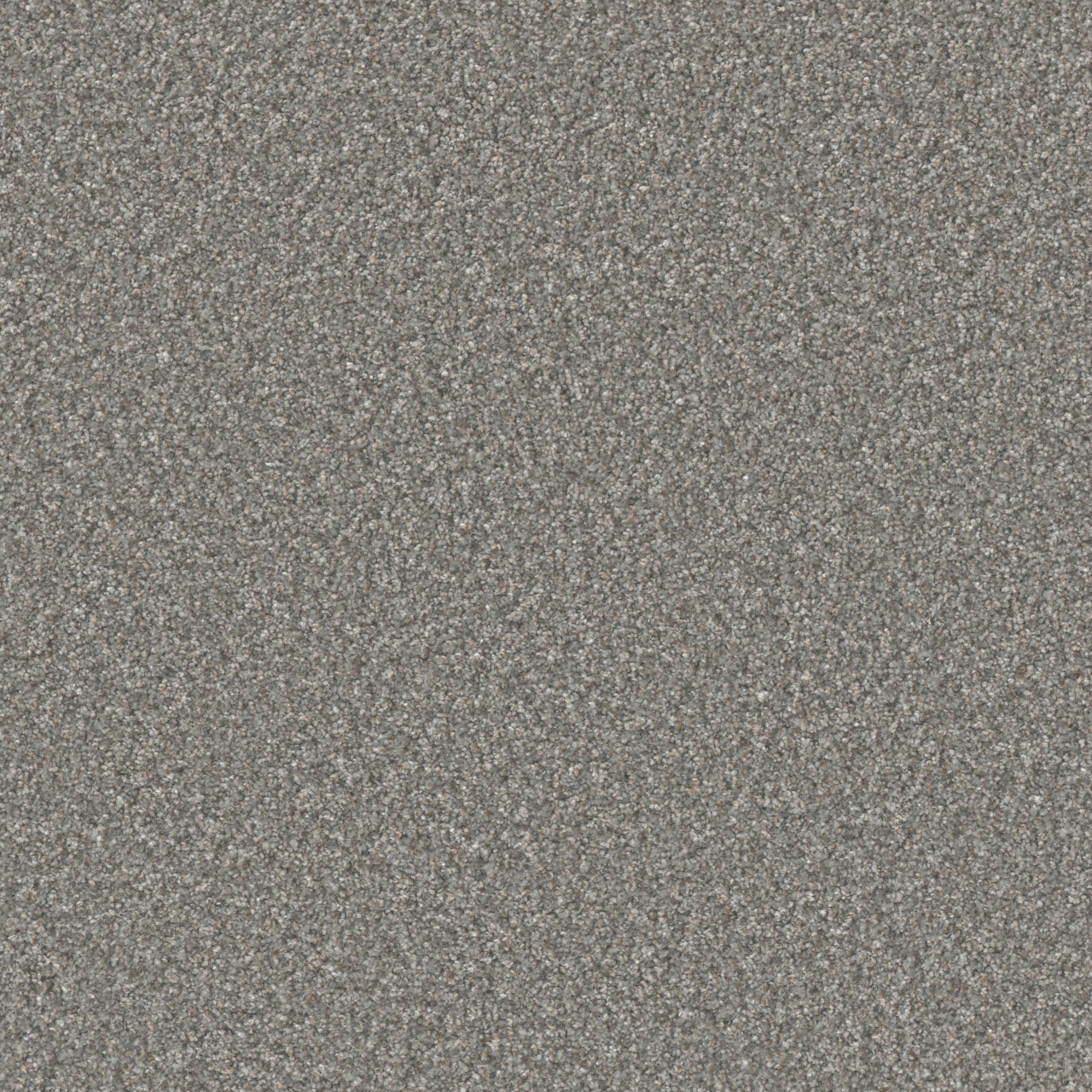 DreamWeaver® Excalibur IV Cut Pile Carpet