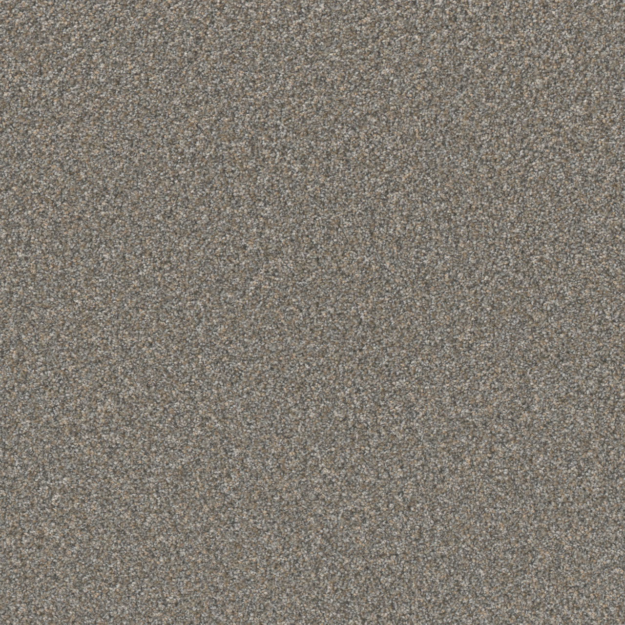DreamWeaver® Excalibur IV Cut Pile Carpet