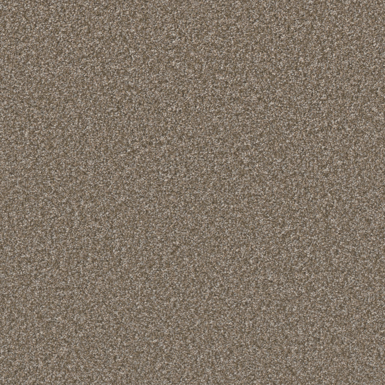 DreamWeaver® Excalibur IV Cut Pile Carpet