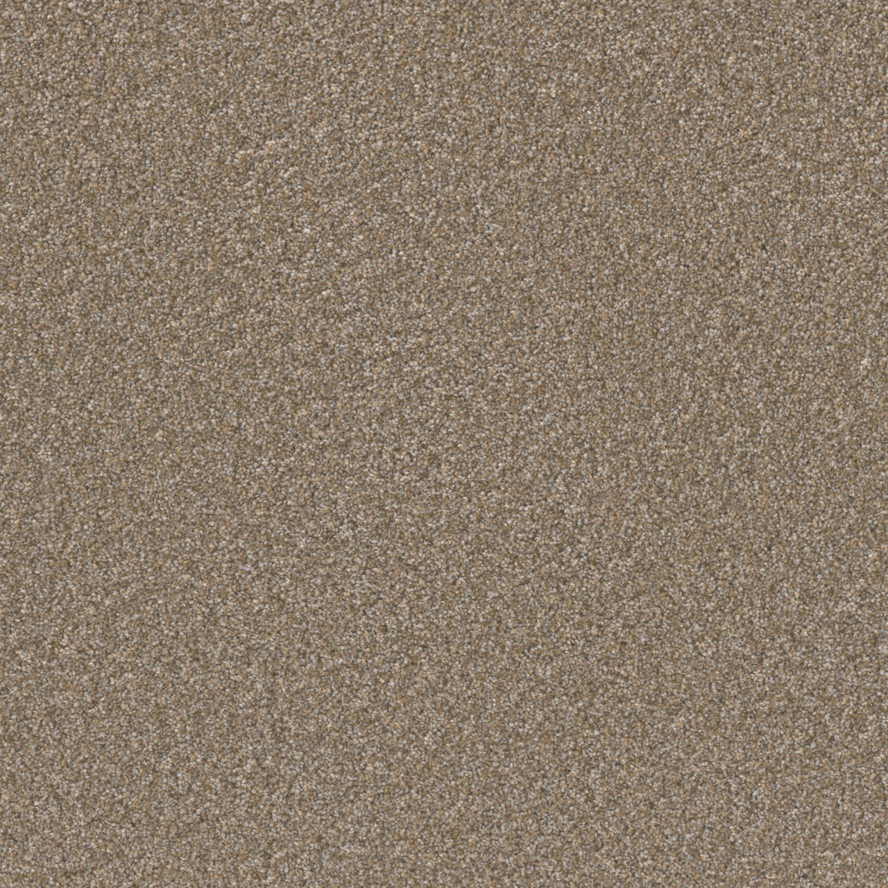 DreamWeaver® Excalibur IV Cut Pile Carpet