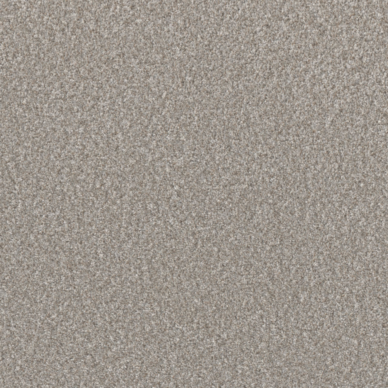 DreamWeaver® Excalibur IV Cut Pile Carpet