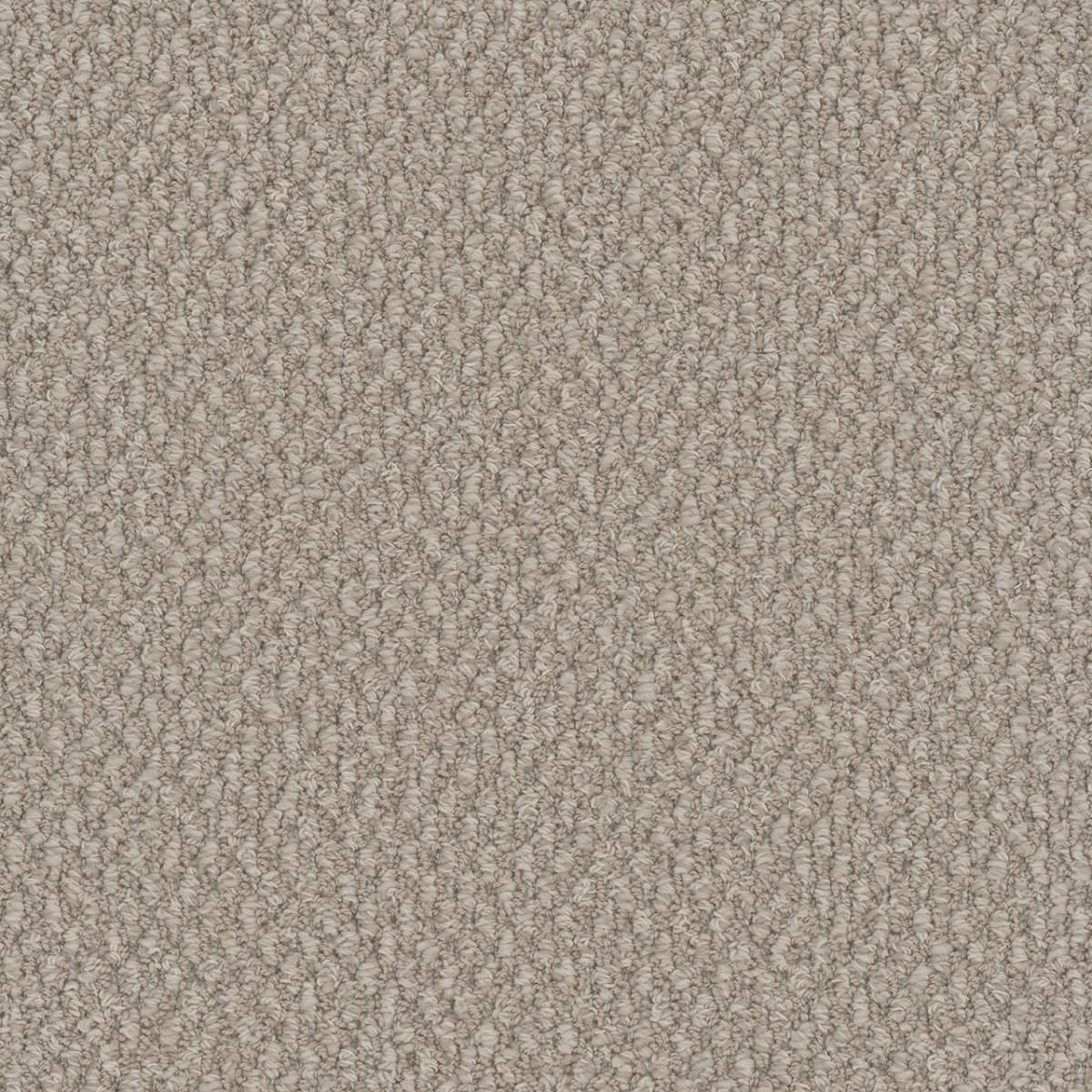 DreamWeaver® Galactic Patterned Loop Carpet