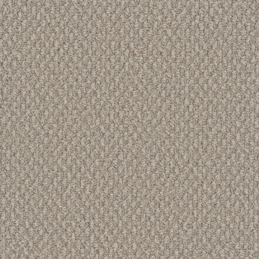 DreamWeaver® Galactic Patterned Loop Carpet