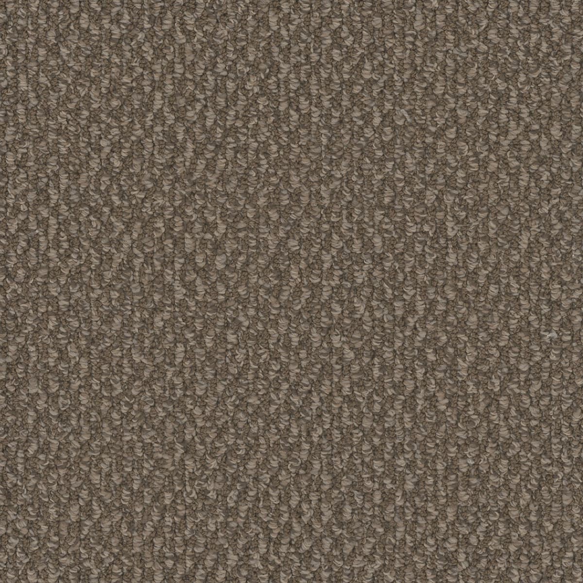 DreamWeaver® Galactic Patterned Loop Carpet