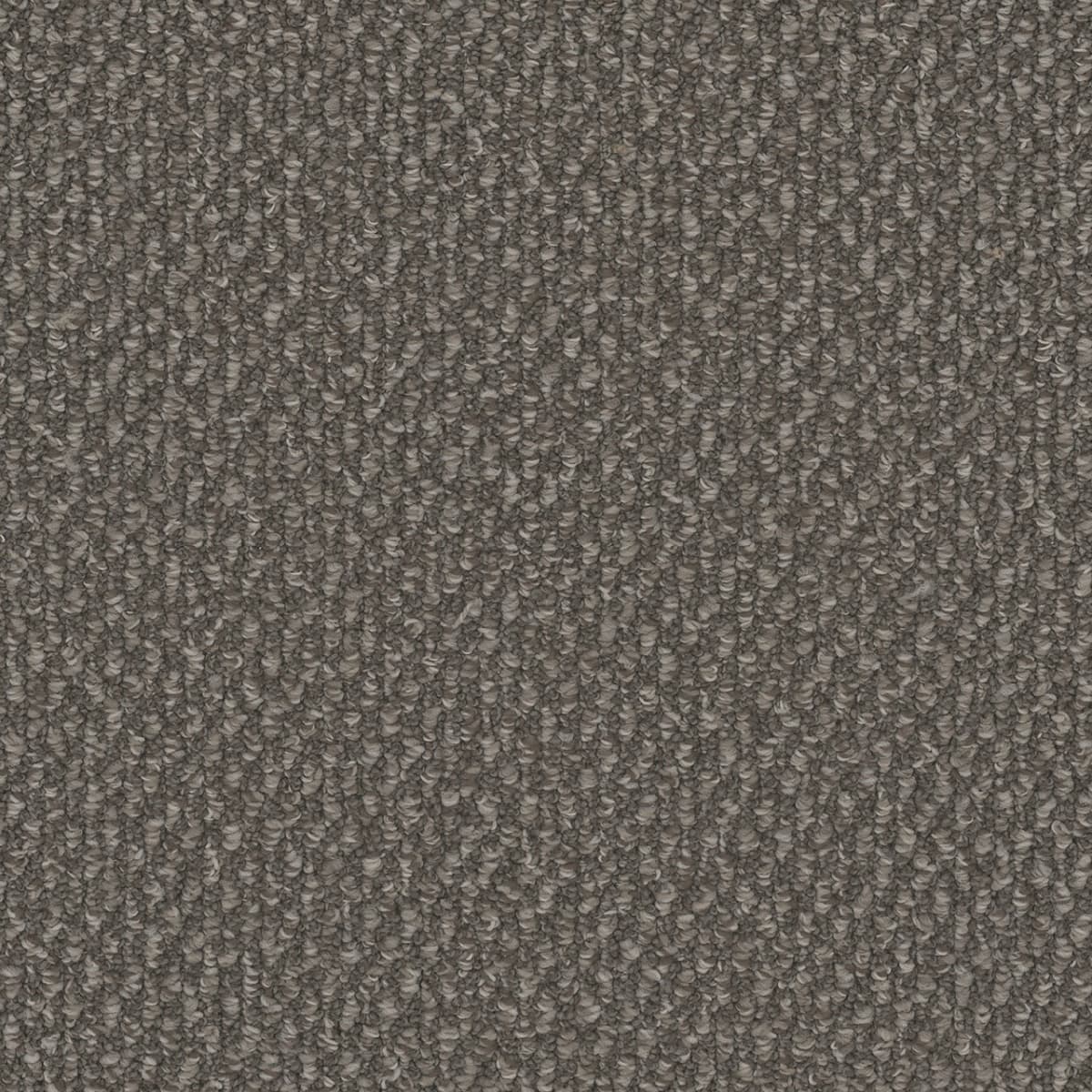 DreamWeaver® Galactic Patterned Loop Carpet