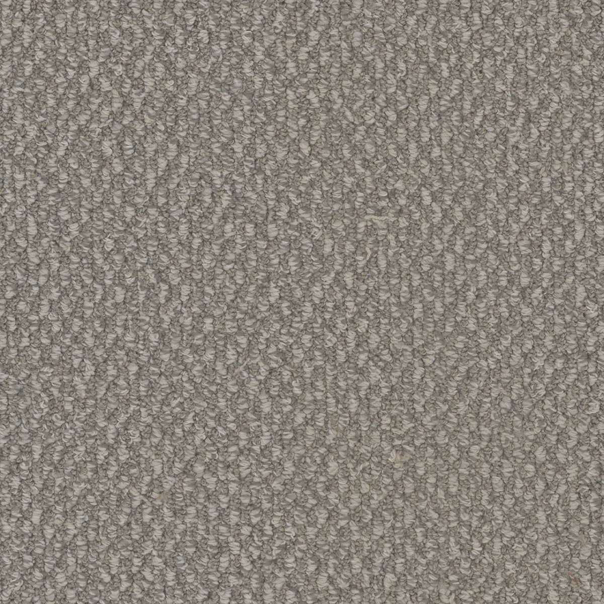 DreamWeaver® Galactic Patterned Loop Carpet
