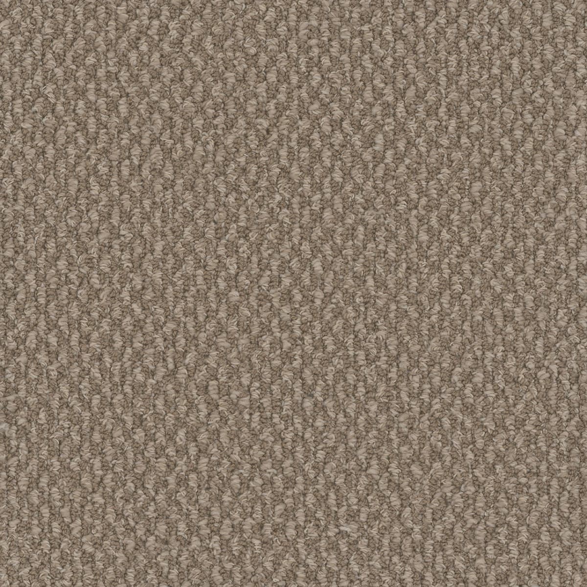 DreamWeaver® Galactic Patterned Loop Carpet