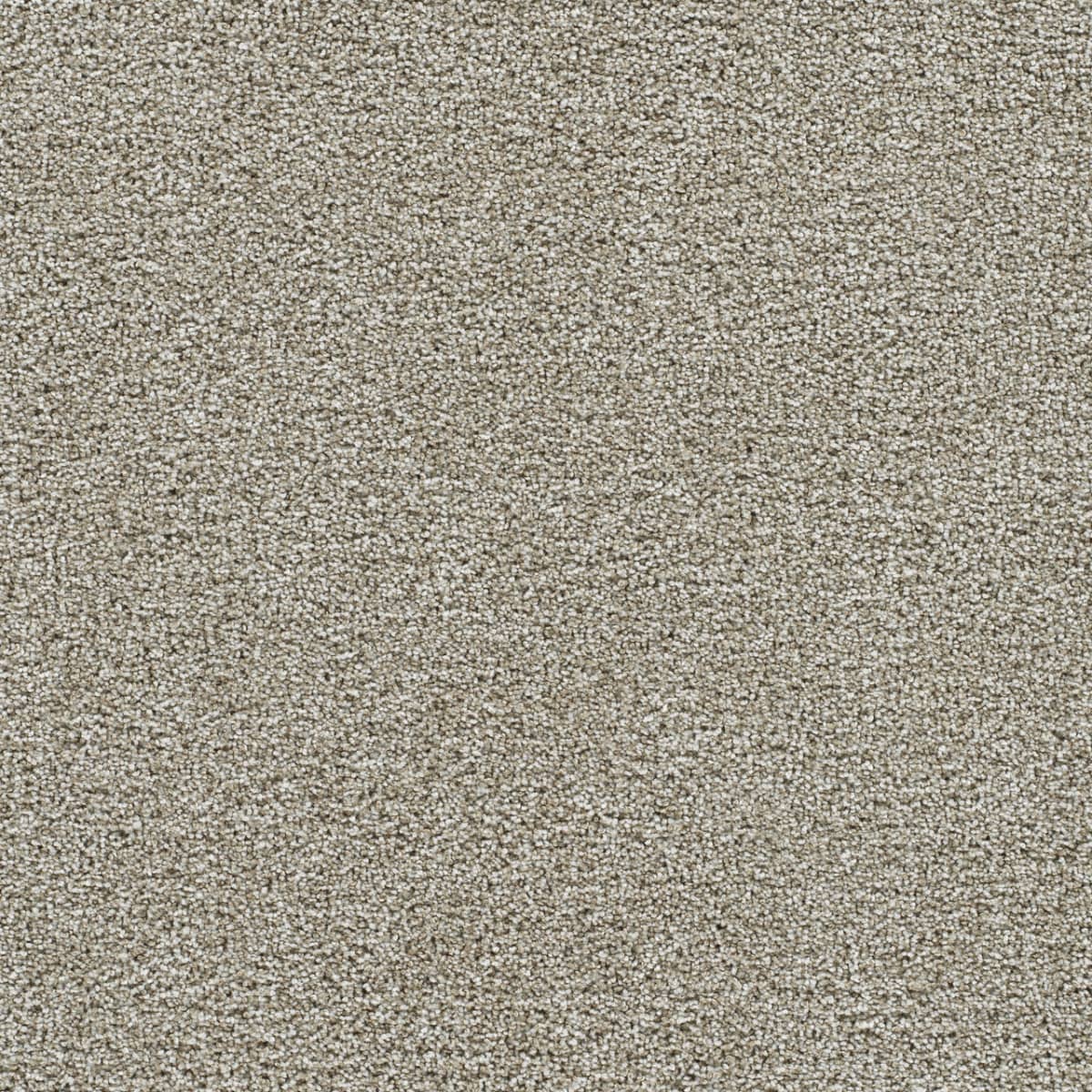 DreamWeaver® Gold Standard II Texture Carpet