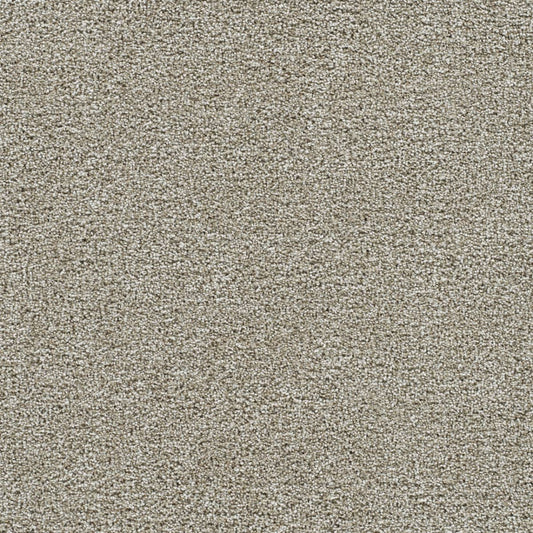 DreamWeaver® Gold Standard III Texture Carpet