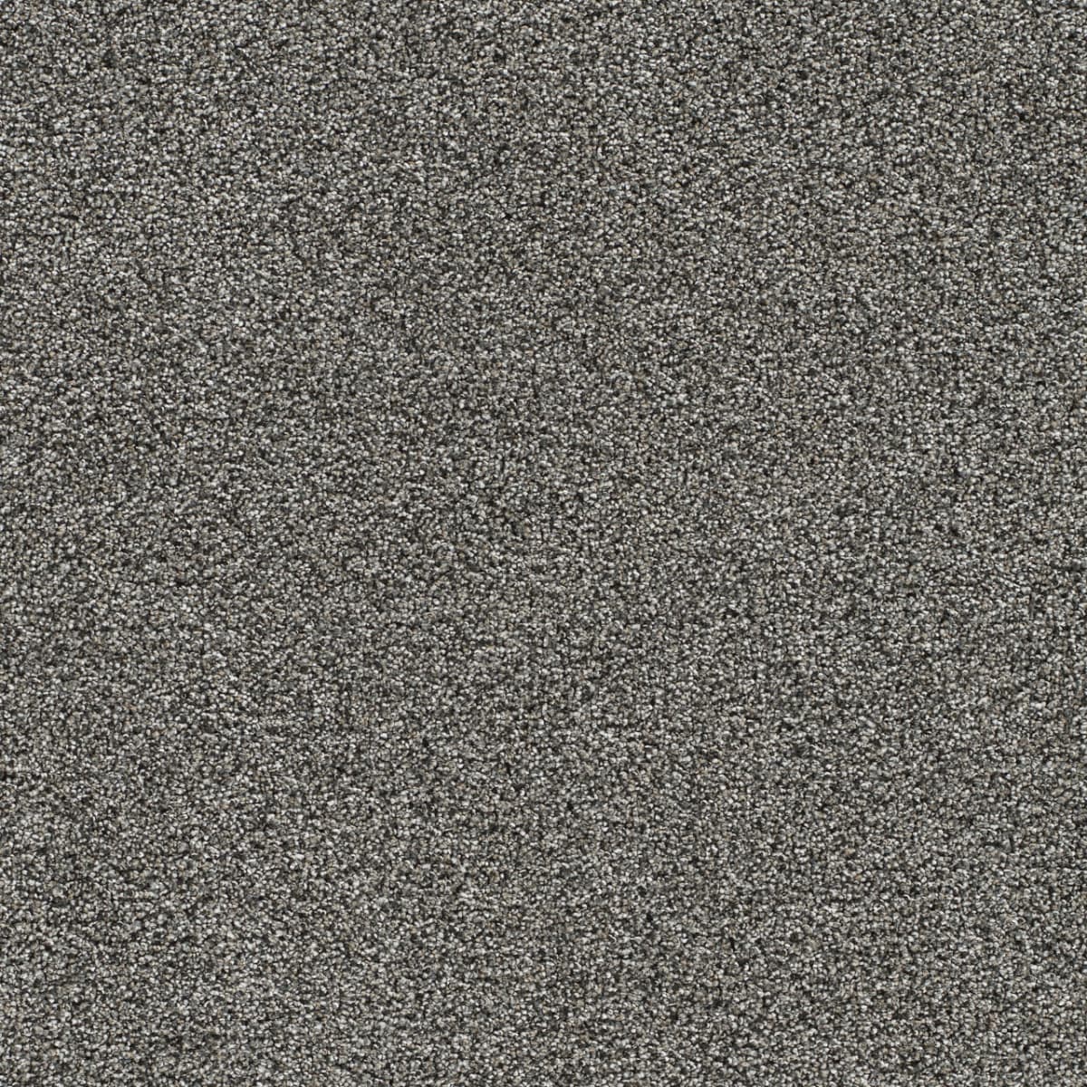 DreamWeaver® Gold Standard II Texture Carpet