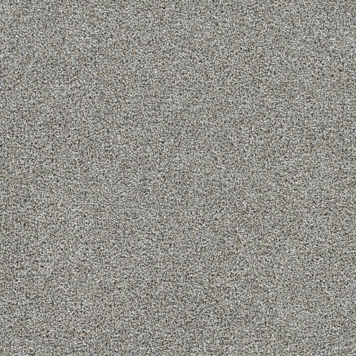 DreamWeaver® Gold Standard II Texture Carpet