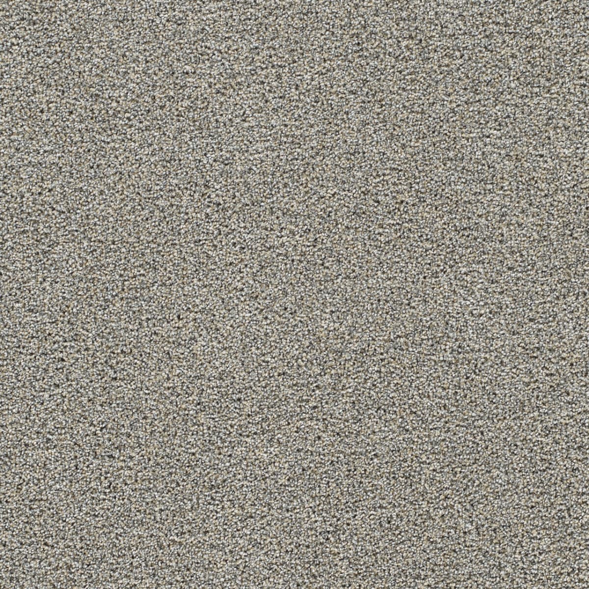 DreamWeaver® Gold Standard II Texture Carpet