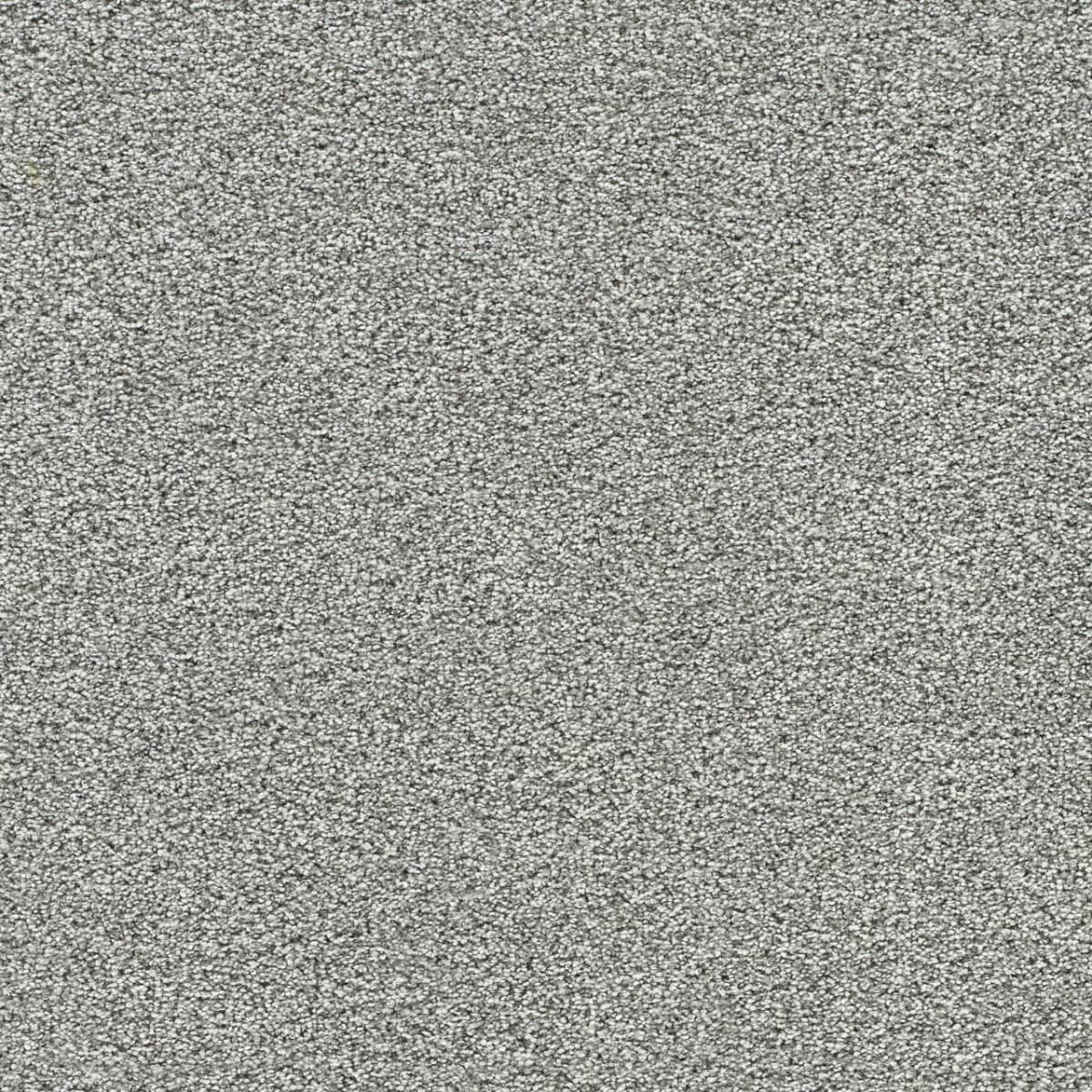 DreamWeaver® Gold Standard II Texture Carpet