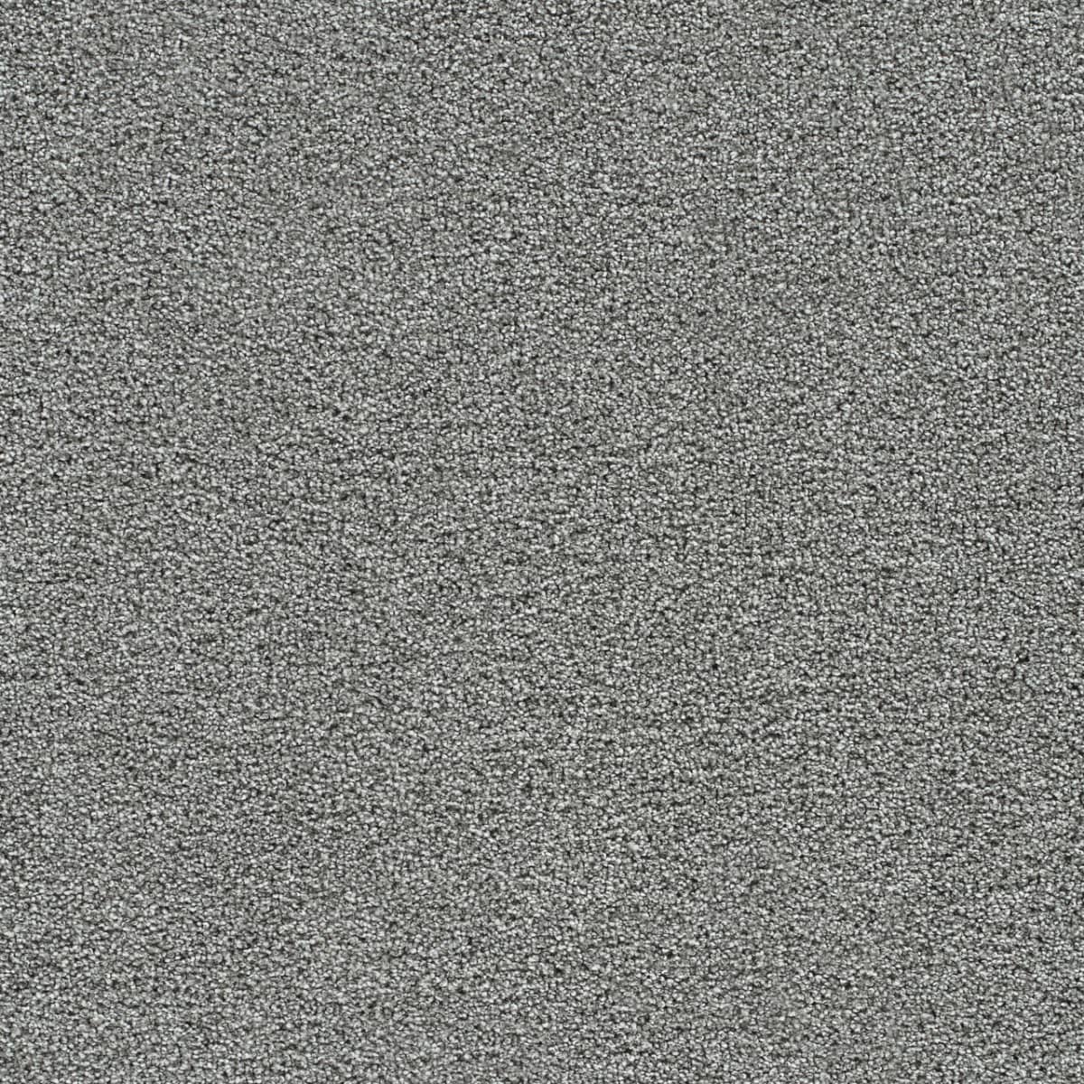 DreamWeaver® Gold Standard II Texture Carpet