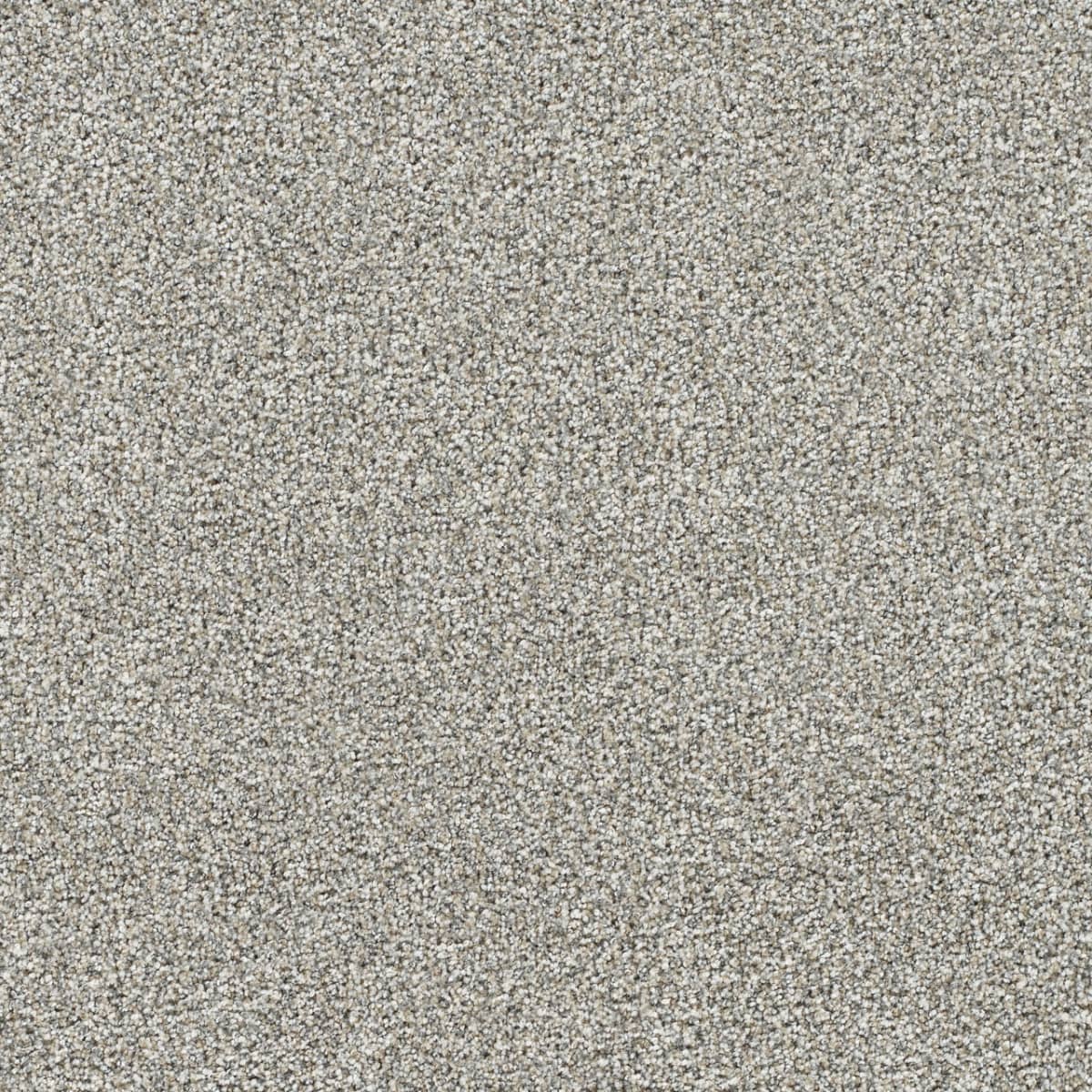 DreamWeaver® Gold Standard II Texture Carpet