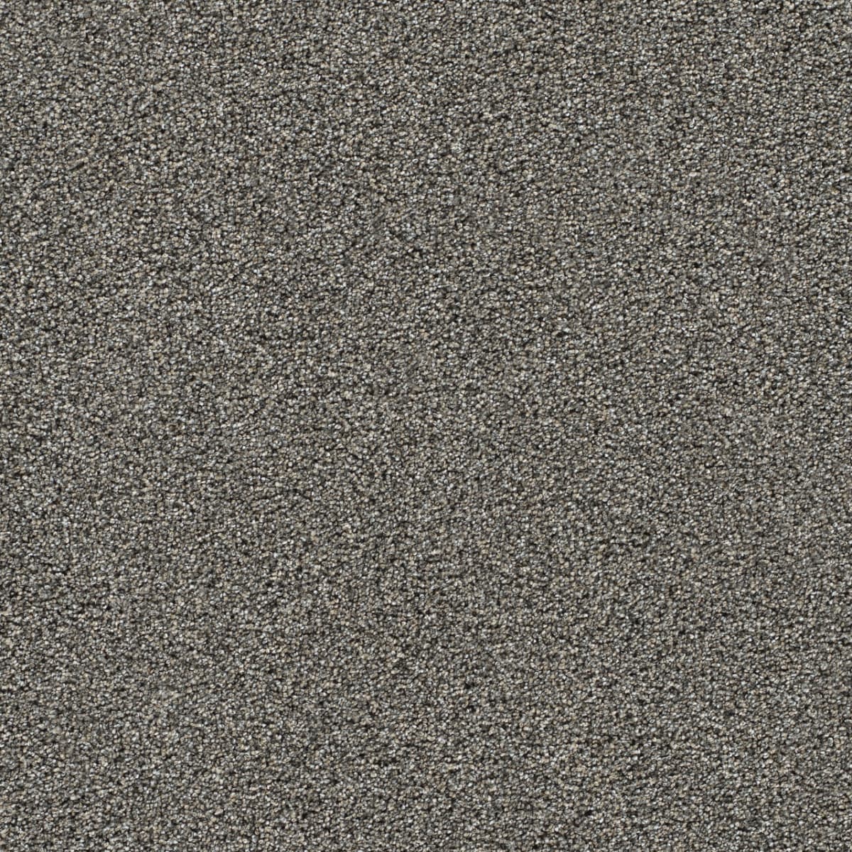 DreamWeaver® Gold Standard II Texture Carpet