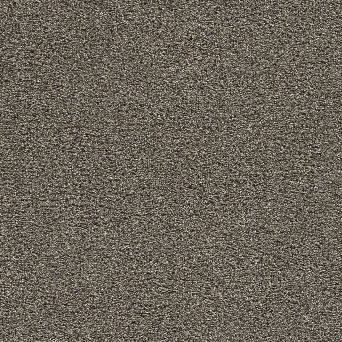 DreamWeaver® Gold Standard II Texture Carpet