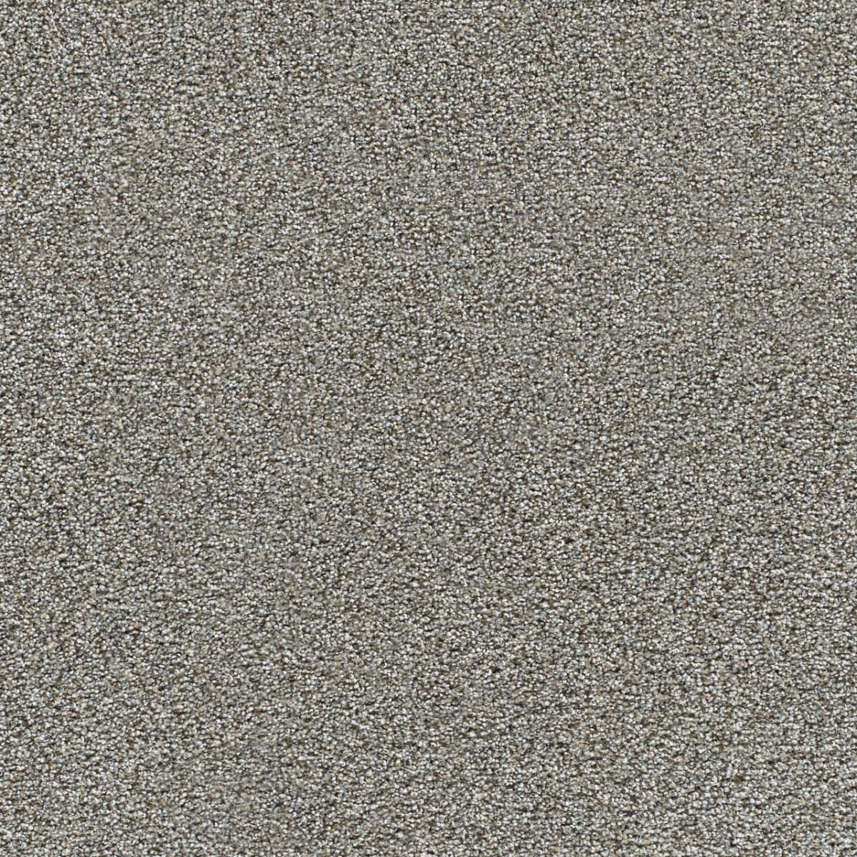 DreamWeaver® Gold Standard II Texture Carpet