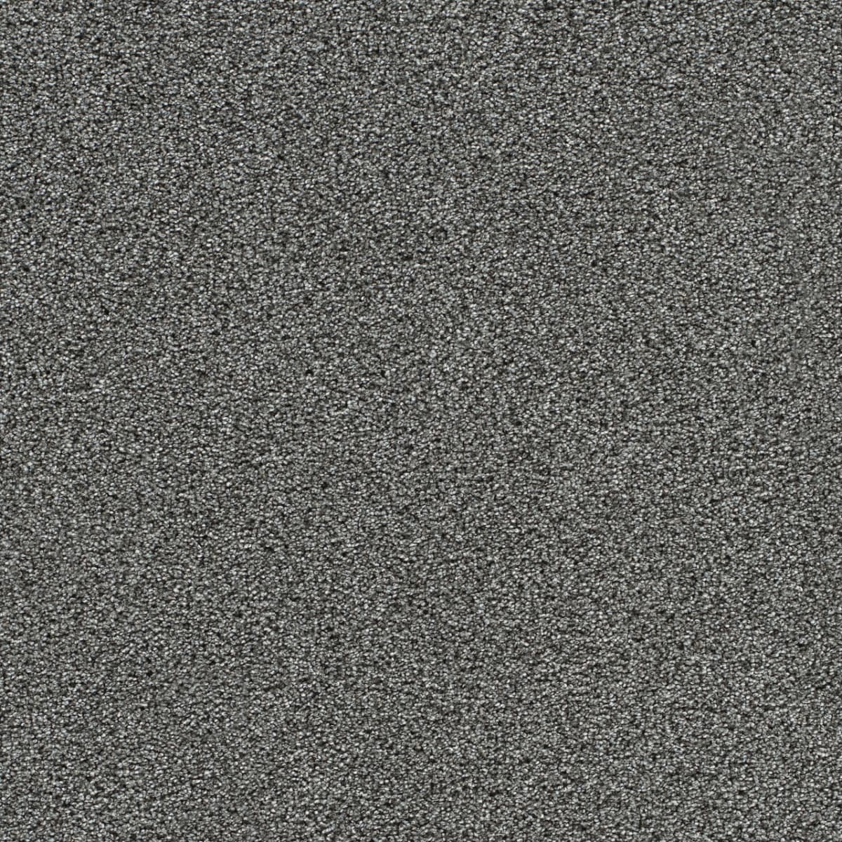 DreamWeaver® Gold Standard II Texture Carpet