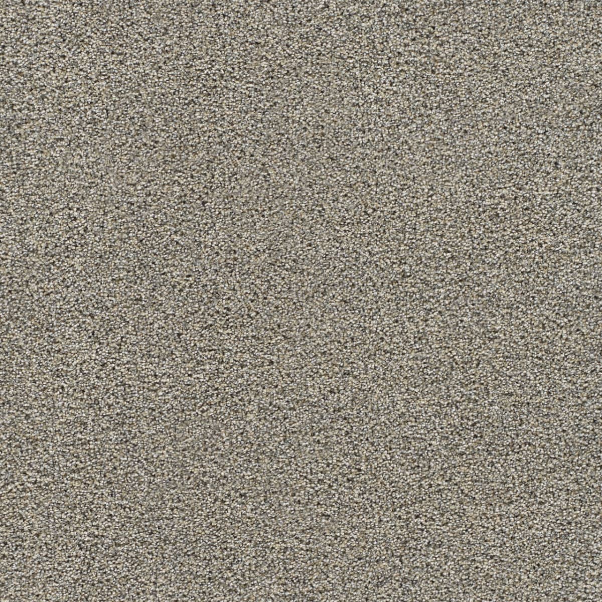 DreamWeaver® Gold Standard II Texture Carpet