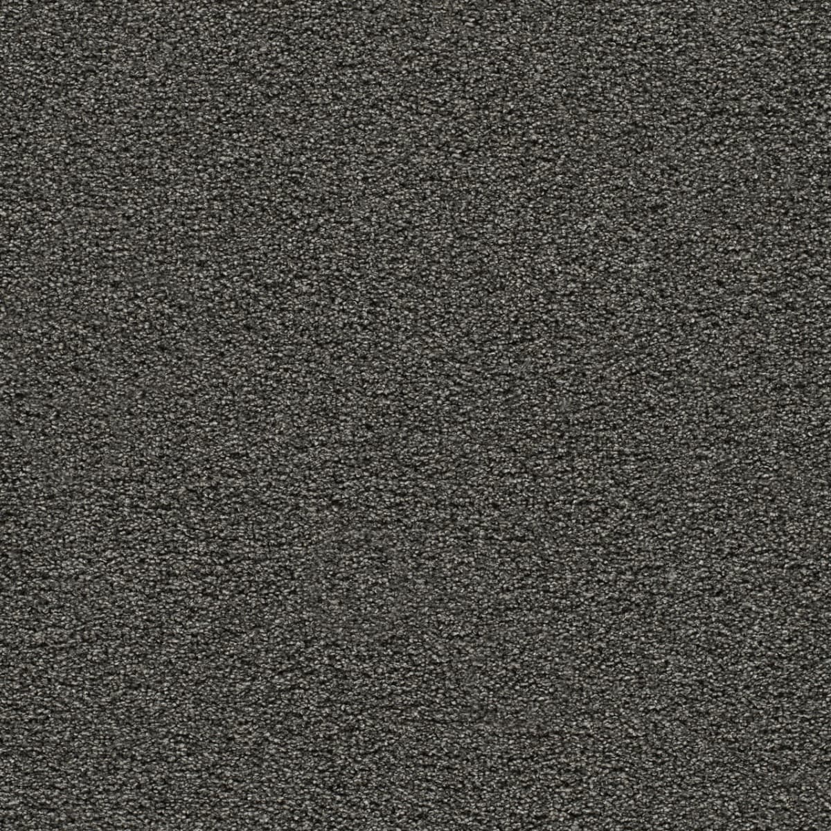 DreamWeaver® Gold Standard II Texture Carpet