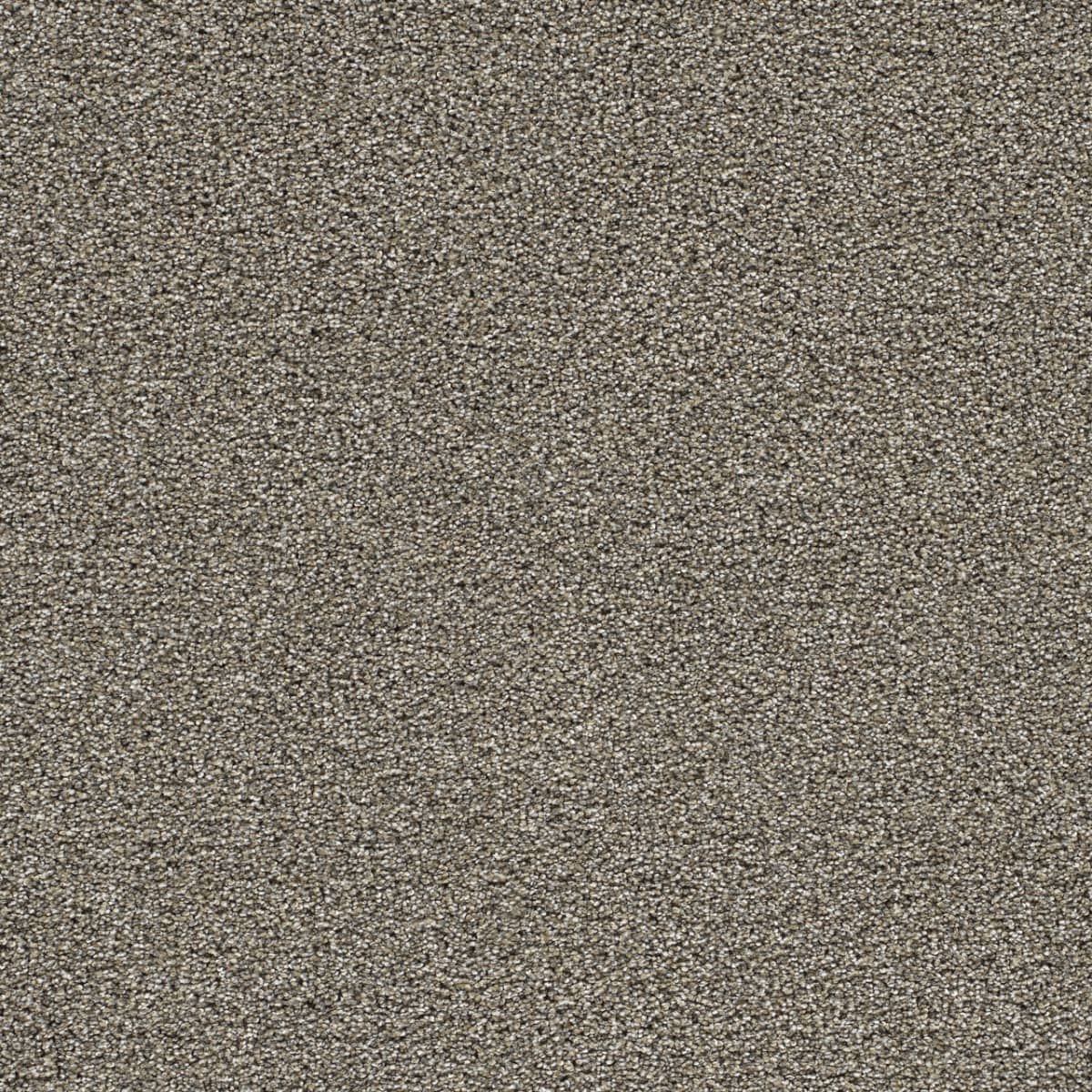 DreamWeaver® Gold Standard II Texture Carpet
