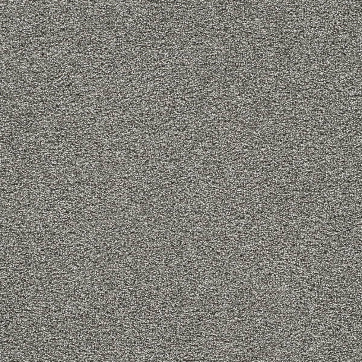 DreamWeaver® Gold Standard II Texture Carpet