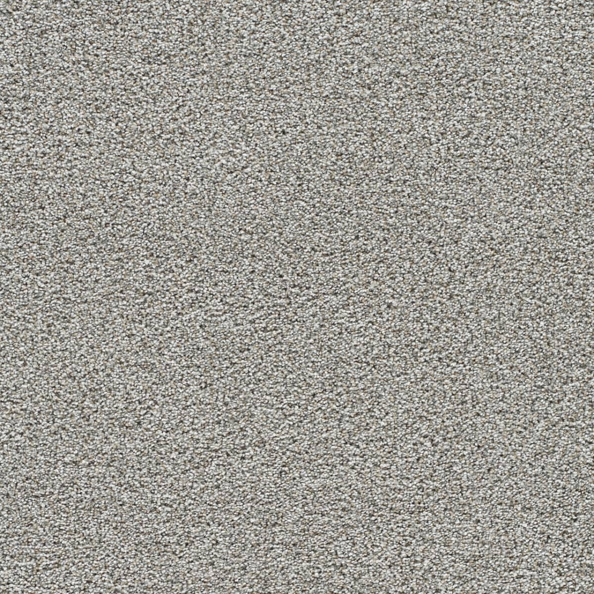 DreamWeaver® Gold Standard II Texture Carpet