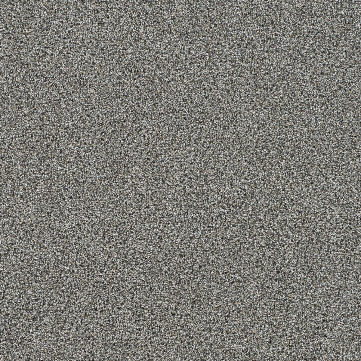 DreamWeaver® Gold Standard II Texture Carpet