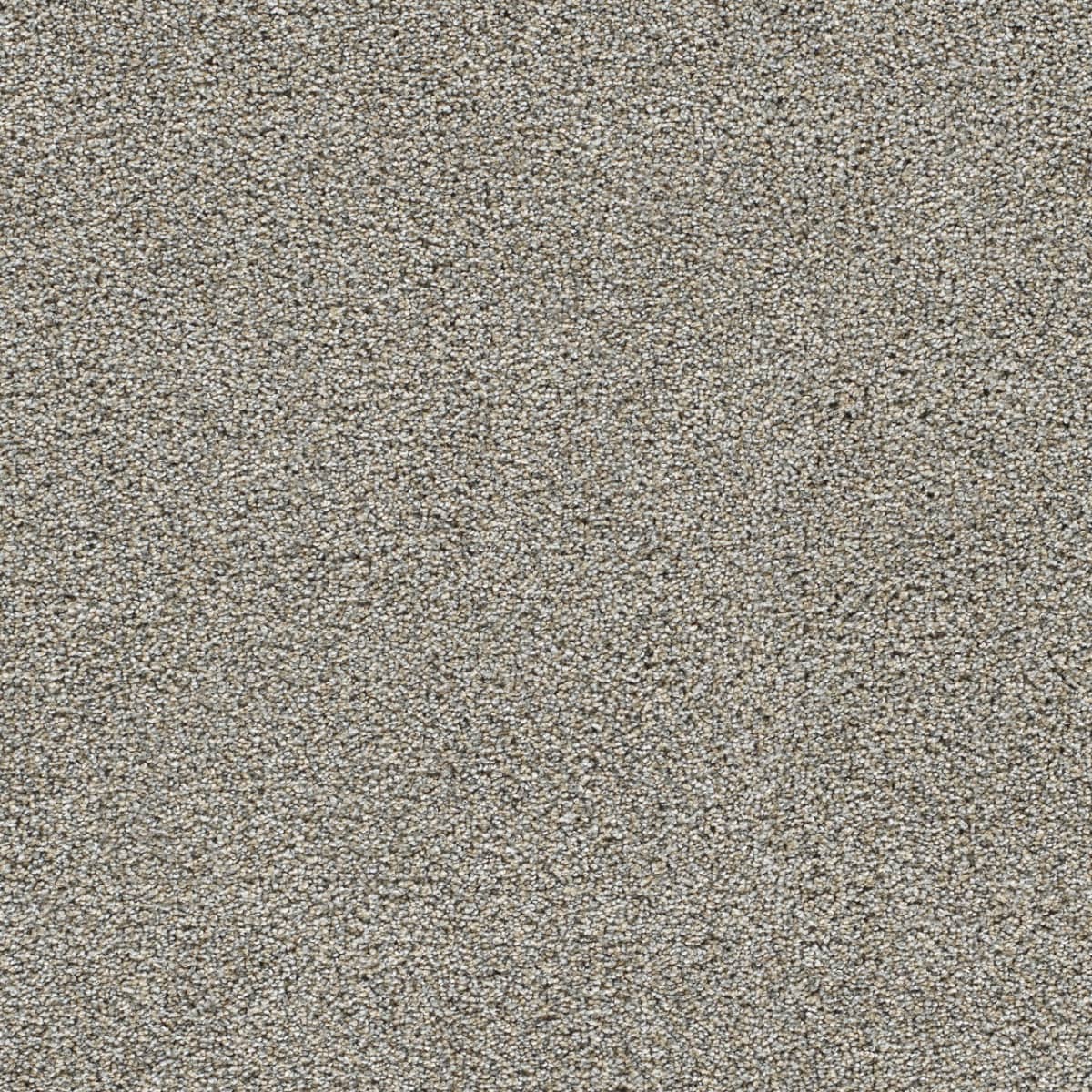 DreamWeaver® Gold Standard II Texture Carpet