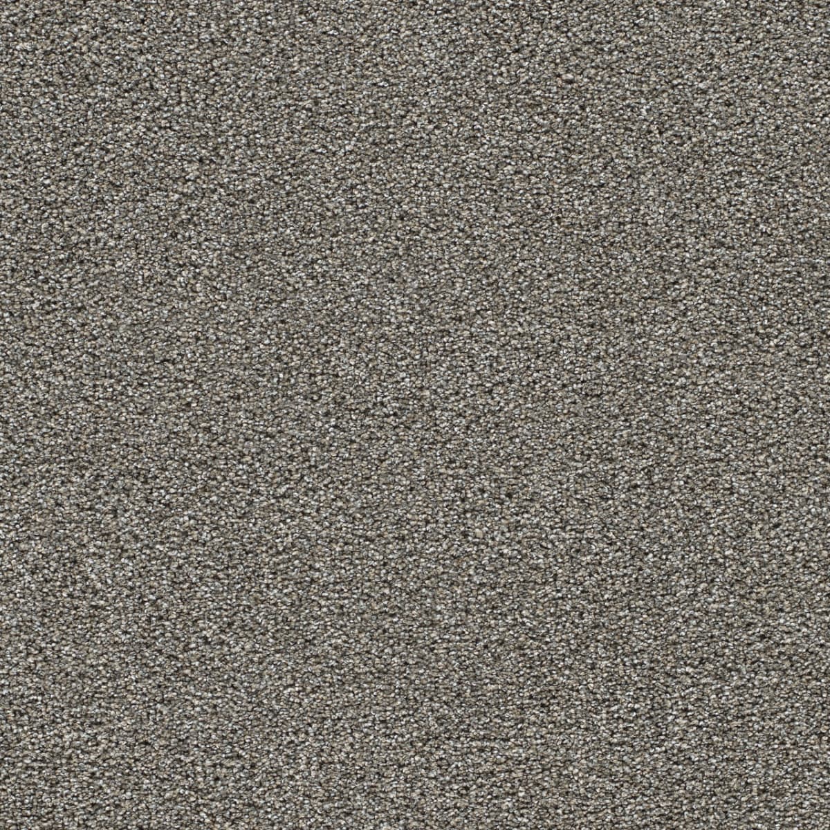 DreamWeaver® Gold Standard II Texture Carpet