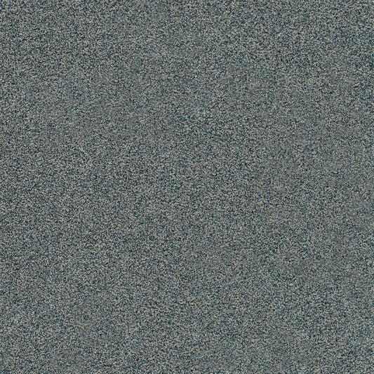 DreamWeaver® Heaven Sent III Cut Pile Carpet