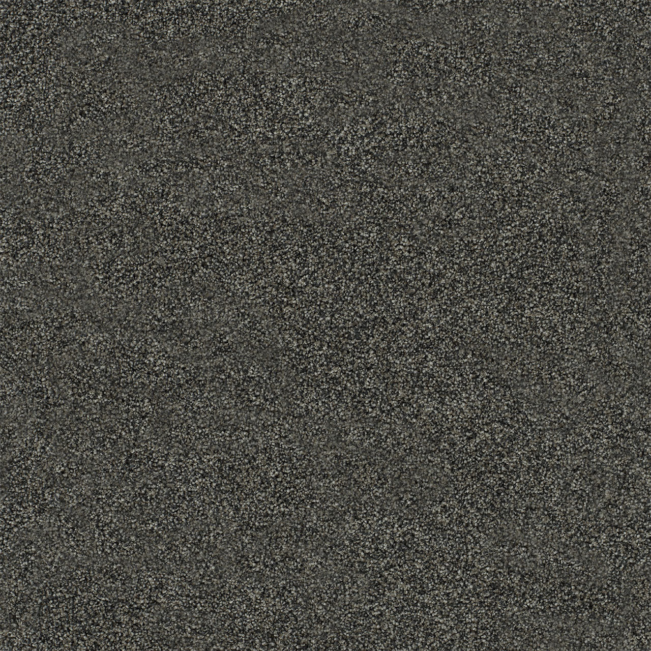 DreamWeaver® Heaven Sent I Cut Pile Carpet