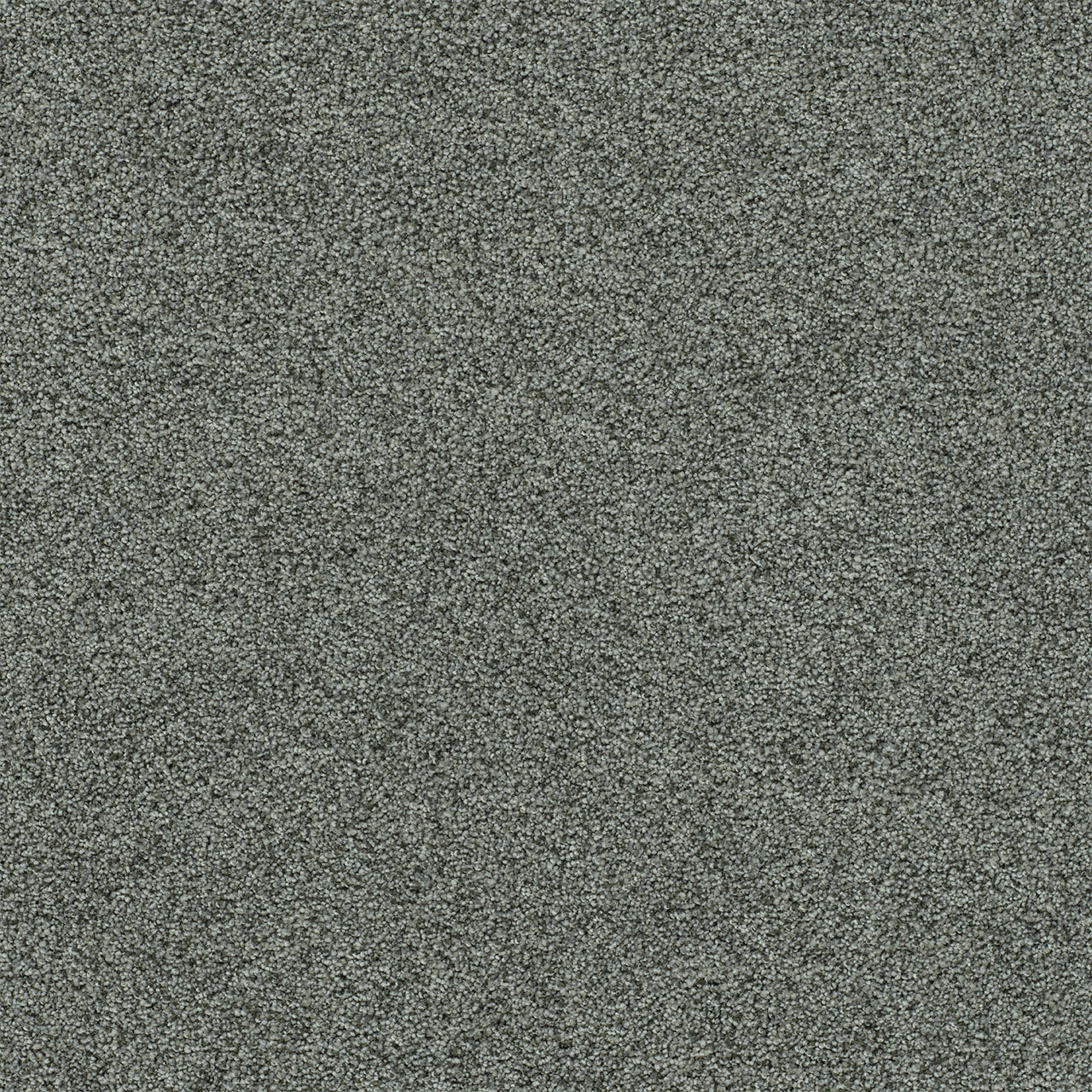 DreamWeaver® Heaven Sent I Cut Pile Carpet
