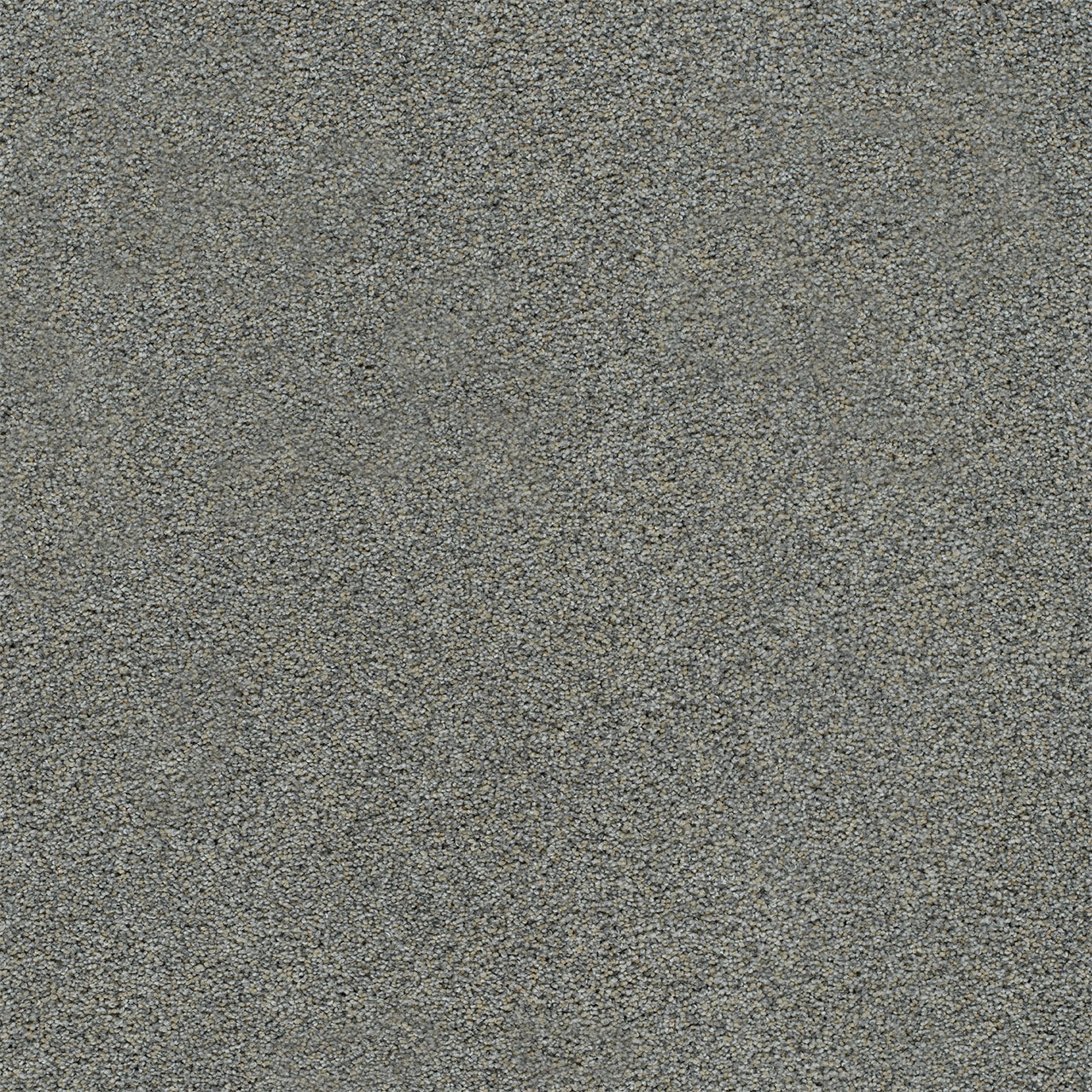 DreamWeaver® Heaven Sent I Cut Pile Carpet