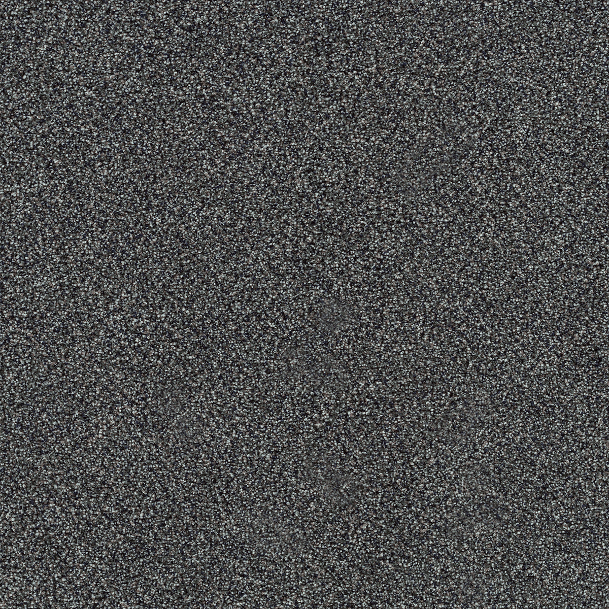 DreamWeaver® Heaven Sent I Cut Pile Carpet